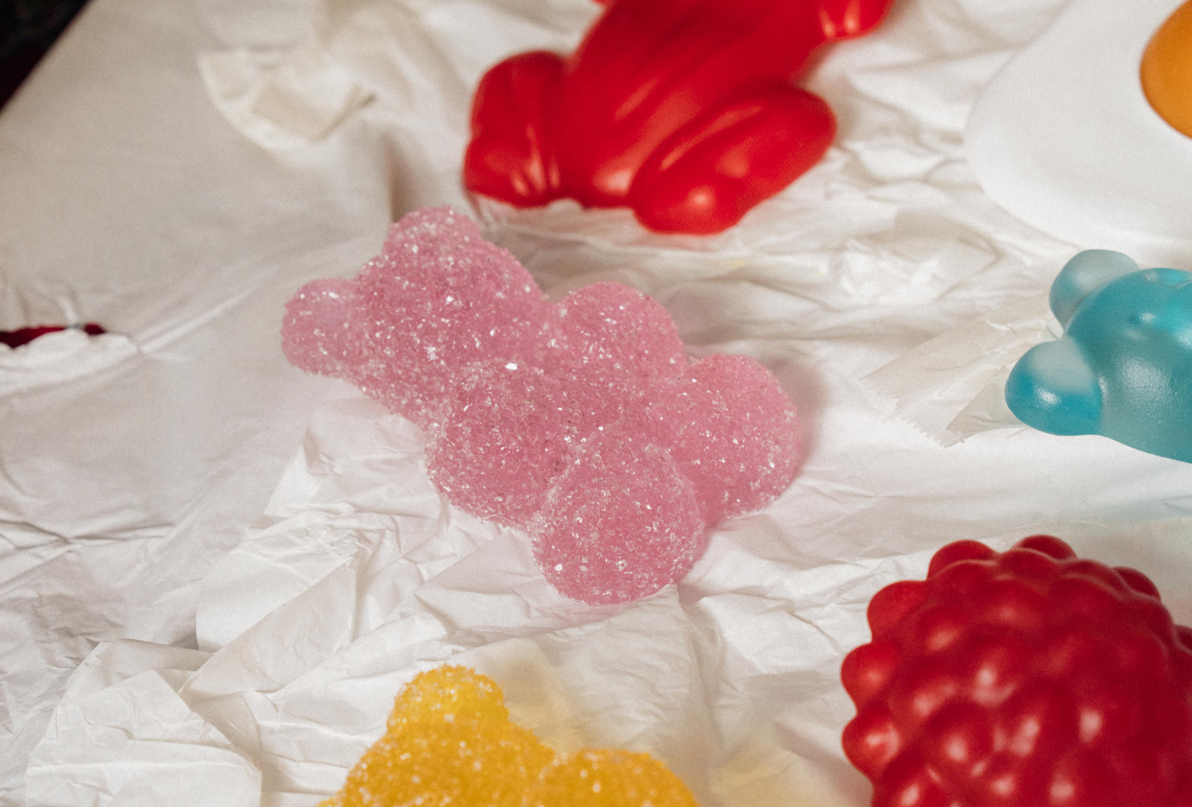 Sour Bear