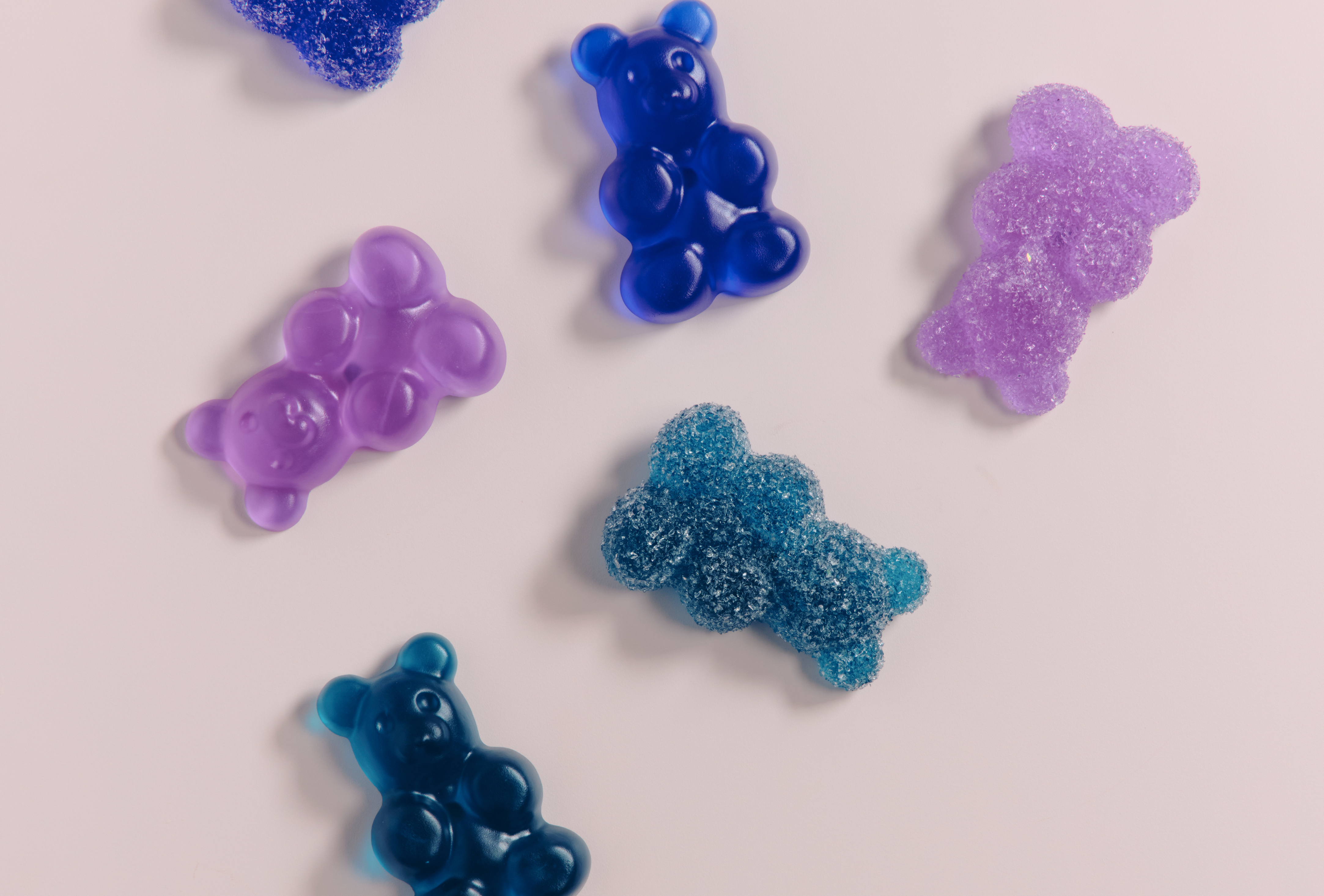 Sour Bear