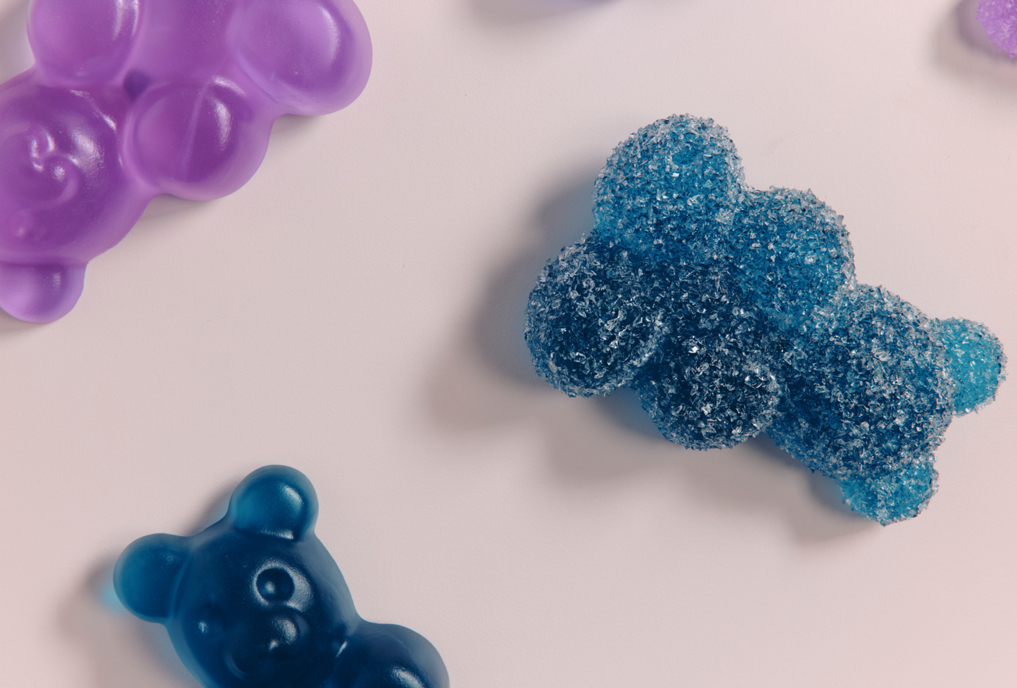 Sour Bear