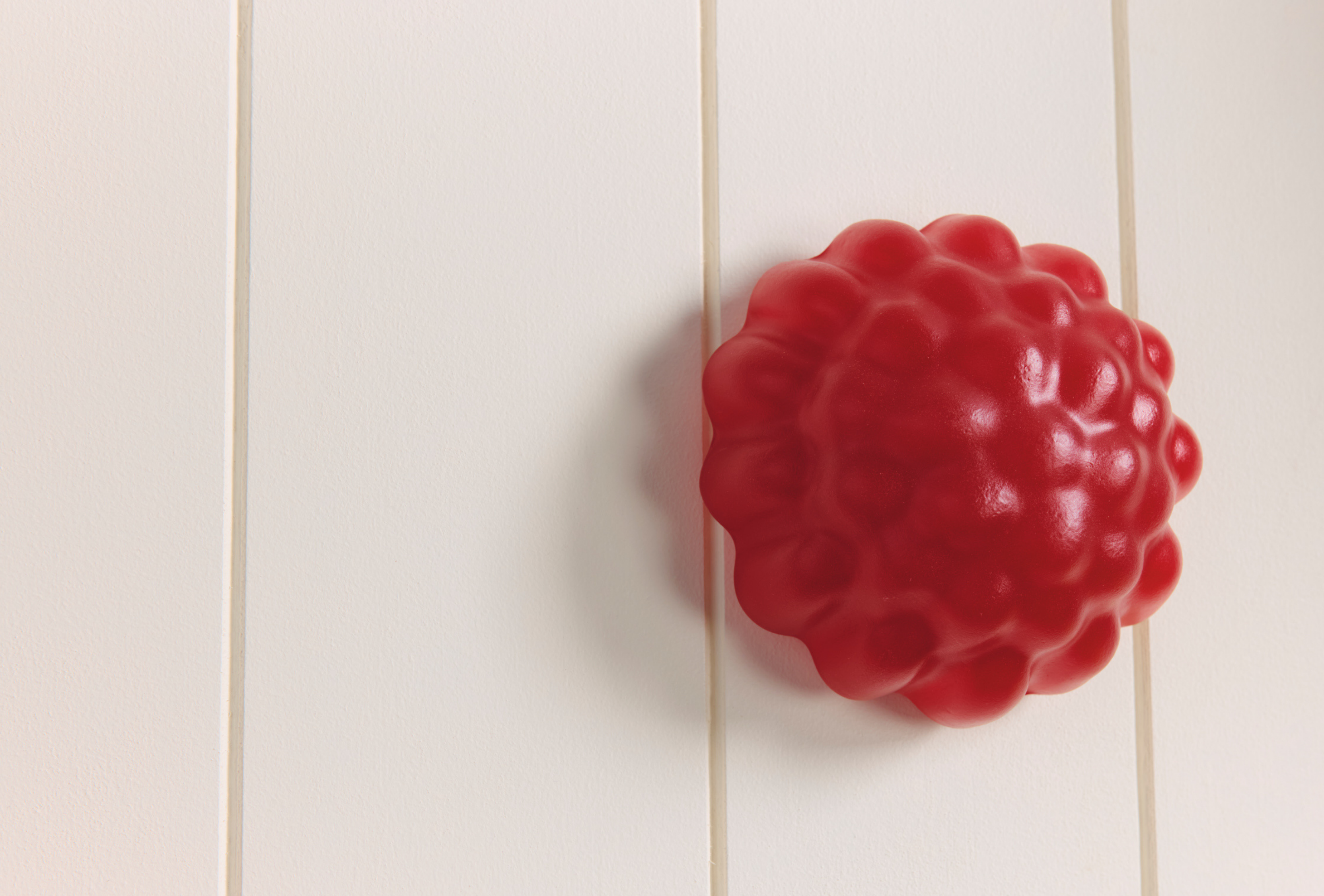 Raspberry