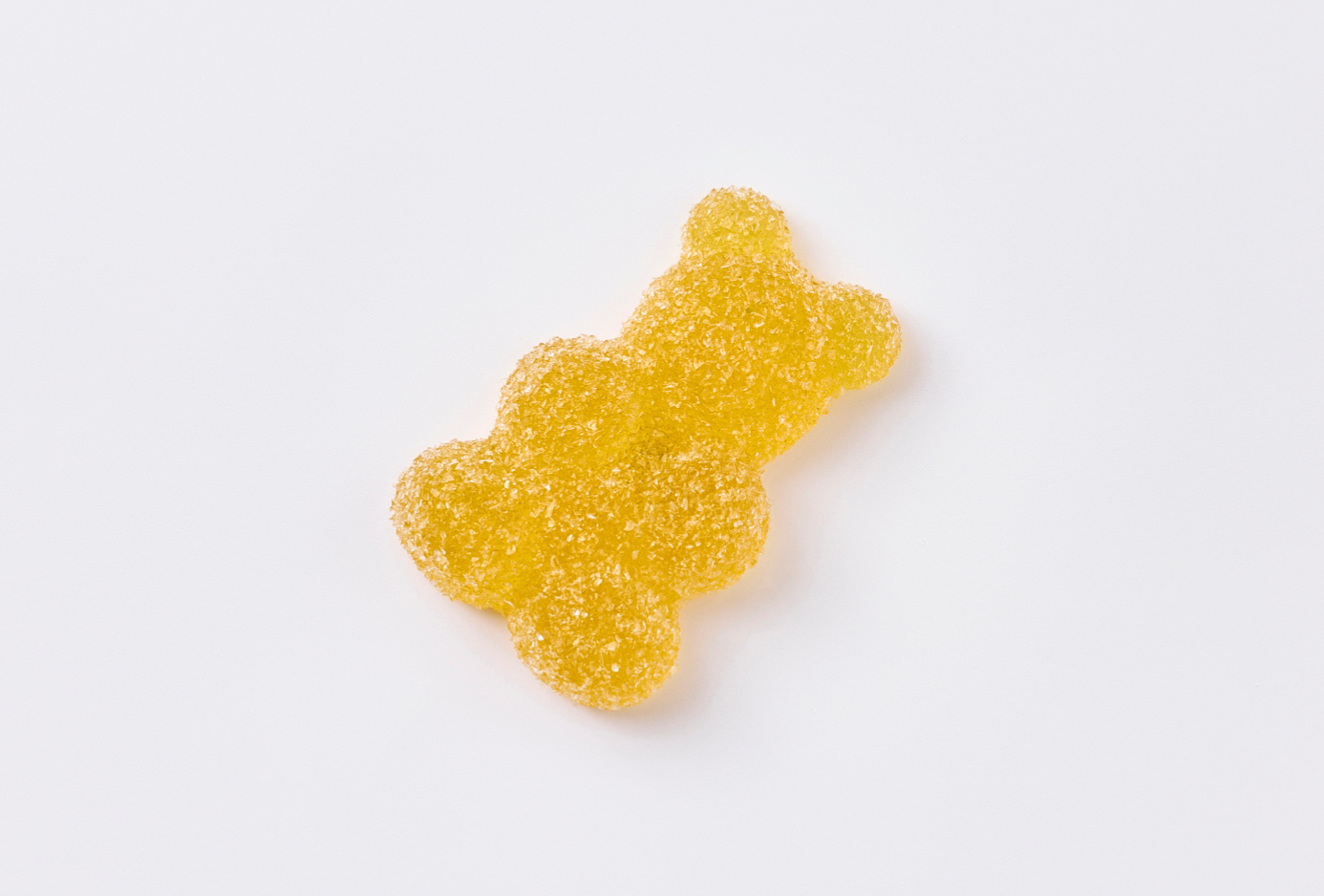 Sour Bear
